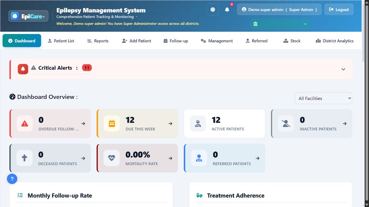 Application dashboard with synthetic demonstration records